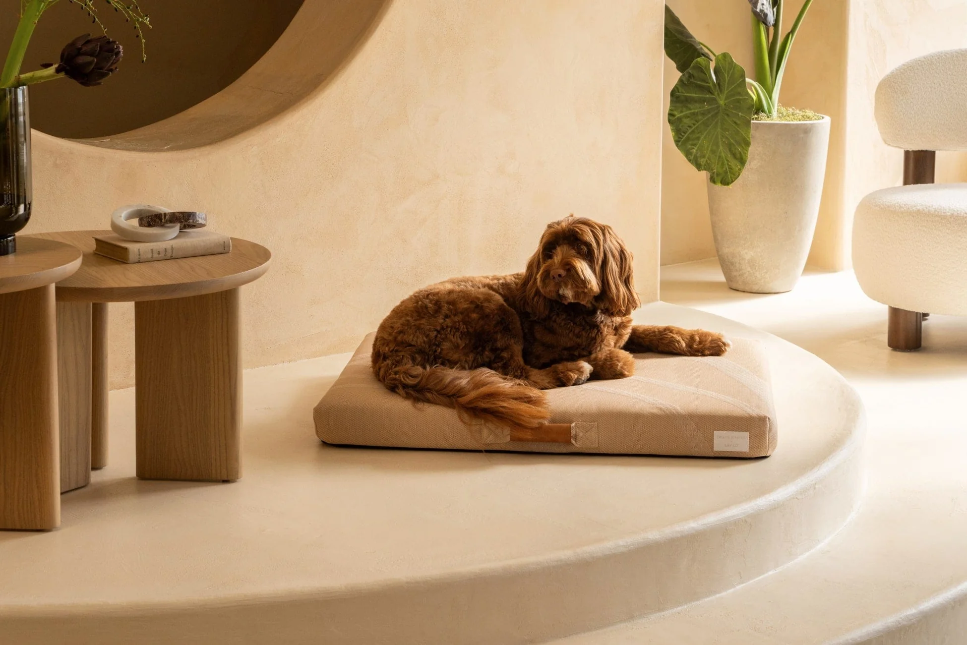 Elevated Style for Every Pet